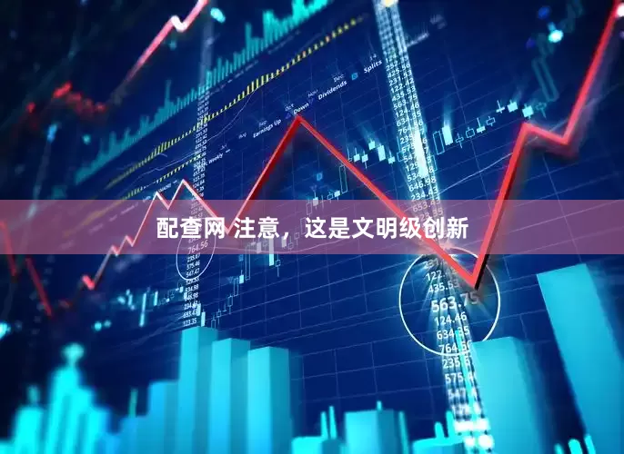 配查网 注意，这是文明级创新