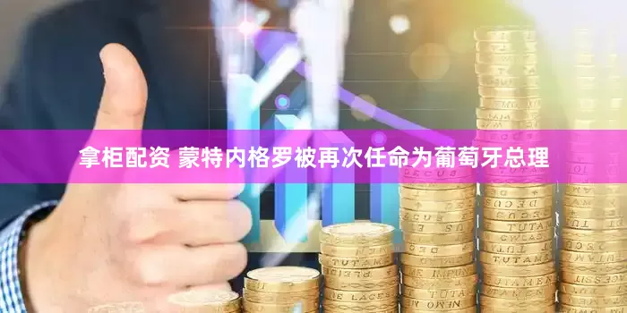 拿柜配资 蒙特内格罗被再次任命为葡萄牙总理