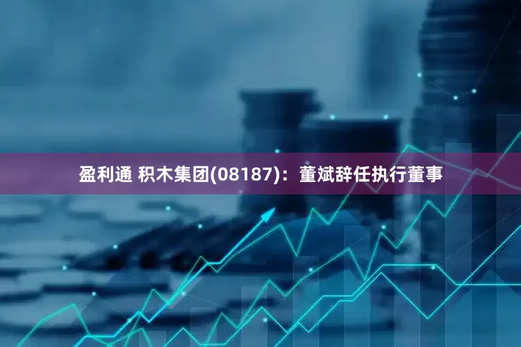 盈利通 积木集团(08187)：董斌辞任执行董事