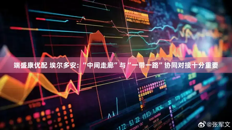 端盛康优配 埃尔多安: “中间走廊”与“一带一路”协同对接十分重要