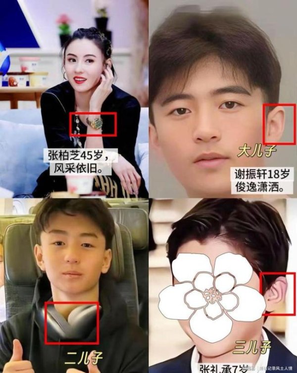 至尊配资 张柏芝柯淳录制节目同框 状态依旧抗打
